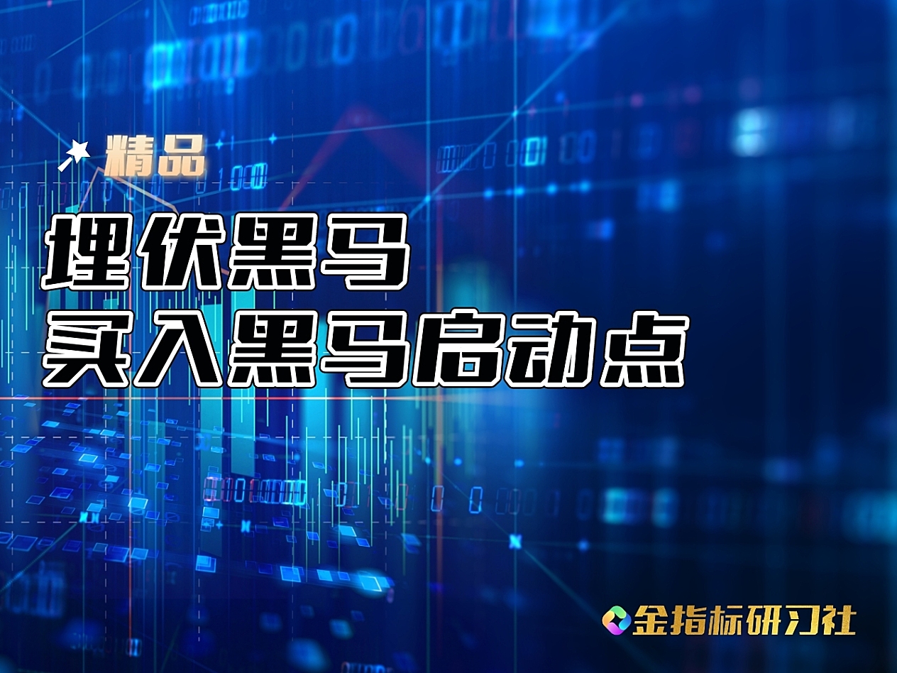 【精品】通达信买在趋势股启动点【副图】指标，跟踪回调买入点位精准，胜率90以上